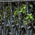 Cornstalk Fence, New Orleans, Louisiana