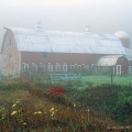 Wisconsin Dairy Barn, Tioga County, New York