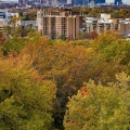 Cleveland from Garfield Memorial, Lake View Cemetery, Cleveland
