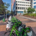 Bicycles, Euclid Avenue, Cleveland