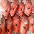 Red Snappers, West Side Market