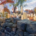 Mantua Center East Cemetery, Portage County