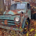 1950s Dodge Truck, Portage County