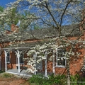 House & Dogwood in Roscoe Village, Coshocton