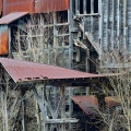 Weathered wood and faded sheet metal frame the interior of an old coal tipple in the Woodbury Wildlife Area, west of Coshocton.