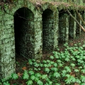 Coke Ovens, Vinton Furnace State Forest, Vinton County