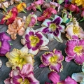 Daylily Display, Moreland Hills, Ohio