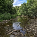 Paine Creek, Hell Hollow Wilderness, Lake County, Ohio