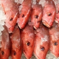 Red Snappers, West Side Market, Cleveland