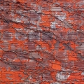Wall Abstract, Barberton, Ohio
