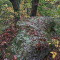 Rock Greenshield, Flavoparmelia baltimorensis, Vinton County, Ohio