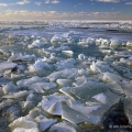 Lake Erie At Eastlake Harbor