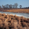 Magee Marsh Wildlife Area in Ottawa County is an important stopover for migrating songbirds and waterfowl, and a destination for thousands of birders during the Biggest Week in American Birding, held here in early May each year.