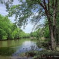 Upper Cuyahoga River, Geauga County