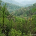 Shawnee State Forest, Scioto County