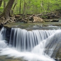 Cedar Falls, Adams County
