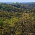 Copperhead Fire Tower View, Shawnee State Forest, Scioto County