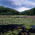 Lake Hope State Park, Vinton County
