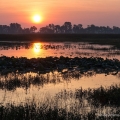 Sunrise, Ottawa National Wildlife Refuge, Ottawa County
