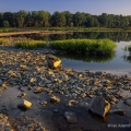 Maumee River at Otsego Rapids