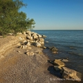 Lake Erie Shoreline, Magee Marsh Wildlife Area, Ottawa County