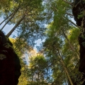 Conkles Hollow State Nature Preserve, Hocking Hills
