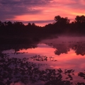 Sunrise, Frame Lake State Nature Preserve, Portage County