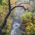 Tinker's Creek Gorge, Bedford Reservation, Cleveland Metroparks