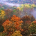 Overlook, Tinker's Creek Gorge, Bedford Reservation, Cleveland Metroparks