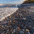 Lake Erie Bluffs, Lake County Metroparks