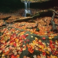 Blue Hen Falls, Cuyahoga Valley National Park