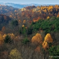 Fall Color, Belmont County