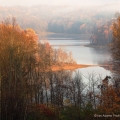 Misty Fall Morning, Salt Fork State Park, Guernsey County