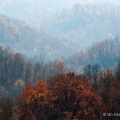 Shawnee State Forest, Adams County