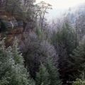 Conkles Hollow State Nature Preserve, Hocking Hills