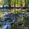 The Licking River in Dillon State Park, near Zanesville, Ohio