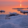 Marblehead Sunrise & Ice