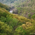 Paint Creek Gorge, Ross County