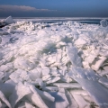 Lake Erie Ice, Magee Marsh Wildlife Area