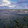 Lake Erie, near Vermilion