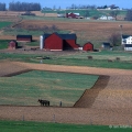 Amish Farmer Plowing, Holmes County