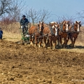 Plowing in Amish Country, Holmes County
