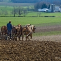 Plowing near Mount Hope, Holmes County