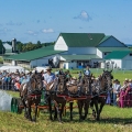 Percherons & Water Spreader, Horse Progress Days, Holmes County
