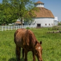 This round barn at Elida was built in 1911.
