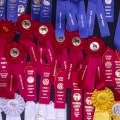 Prize Ribbons, Canfield Fair, Mahoning County