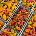 Peppers at an Amish Auction, Holmes County