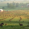 Four Horses, Holmes County