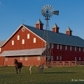 Barn Near Grand Rapids, Henry County