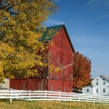 Amish Farm, Holmes County